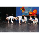 15 CAPOEIRA_002